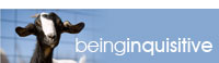 being-inquisitive