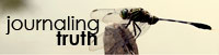 related blogs of interest